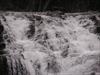 Thumbnail of Photo Number 103