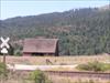 Thumbnail of Photo Number 104