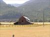 Thumbnail of Photo Number 108