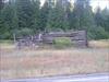 Thumbnail of Photo Number 113