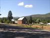 Thumbnail of Photo Number 116