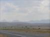 Thumbnail of Photo Number 131
