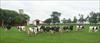 Thumbnail of Photo Number 200