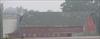 Thumbnail of Photo Number 209
