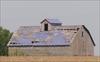Thumbnail of Photo Number 233