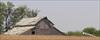 Thumbnail of Photo Number 234