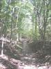 Thumbnail of Photo Number 321