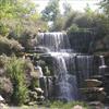 Thumbnail of Photo Number 333