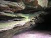 Thumbnail of Photo Number 338