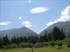 Thumbnail of Photo Number 34