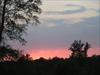 Thumbnail of Photo Number 375