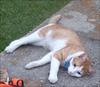 Thumbnail of Photo Number 378