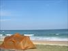 Thumbnail of Photo Number 403