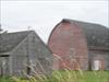 Thumbnail of Photo Number 42