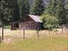 Thumbnail of Photo Number 49
