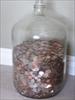 Thumbnail of Photo Number 6