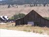 Thumbnail of Photo Number 66