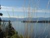 Thumbnail of Photo Number 90