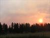 Thumbnail of Photo Number 96