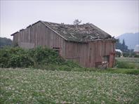 Sample Photo from Album Number 6
